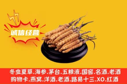 辛集市回收冬虫夏草
